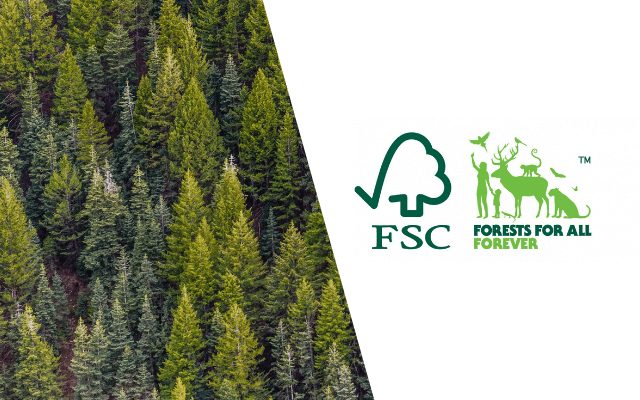 Obchody Piątku FSC® w Trefl
